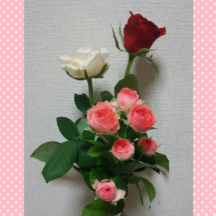 photogrid_1476957796314