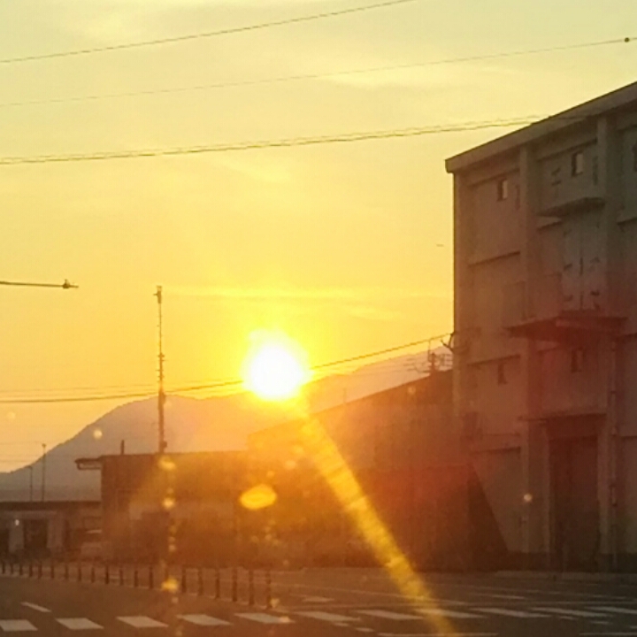 PhotoGrid_1495230946289