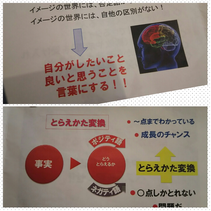 PhotoGrid_1497443471171