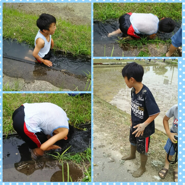 PhotoGrid_1497692672704