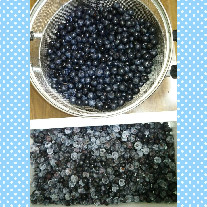 PhotoGrid_1500811287173