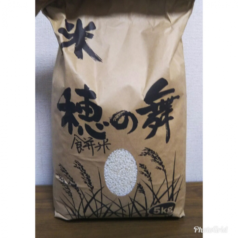 PhotoGrid_1510138604769