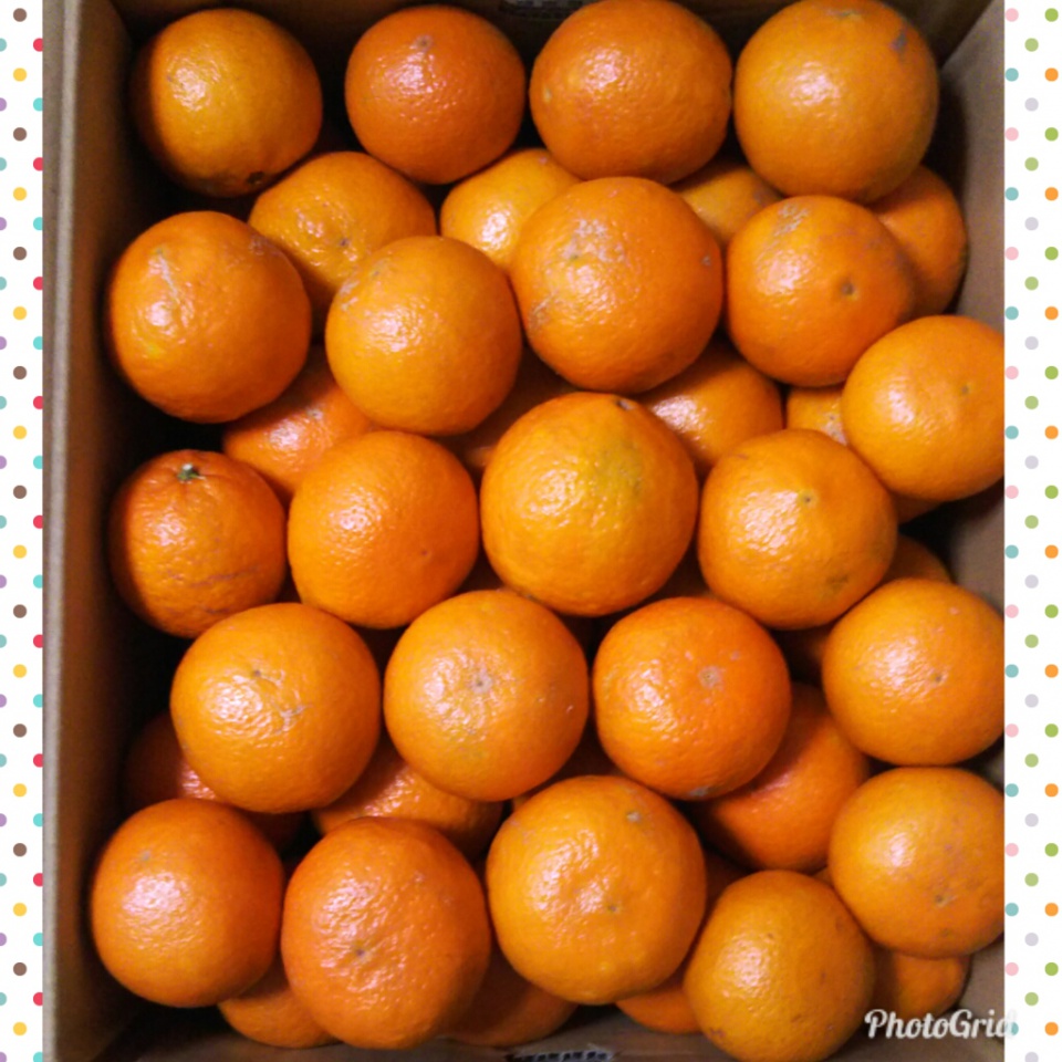 PhotoGrid_1520296467970