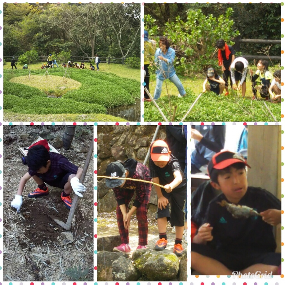 IMG_20180402_120332_505