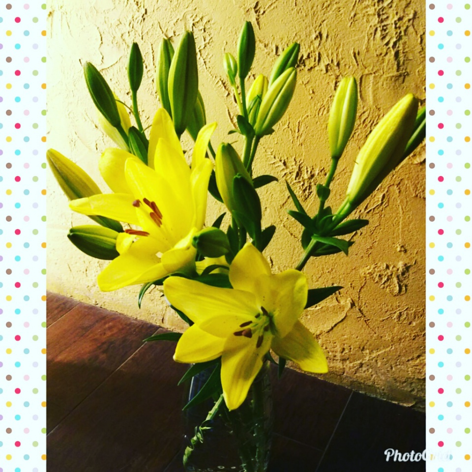 IMG_20180615_233545_523